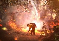 California wildfires burn amid high risk of brutal blazes