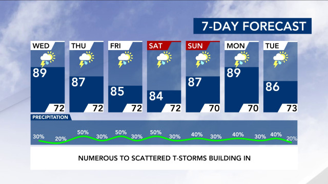 7-Day Forecast