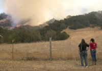 California wildfires burn down buildings, prompt evacuations