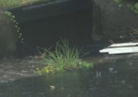 Hurricane Sally remnants move out of central North Carolina; Flash flood watches continue into Friday