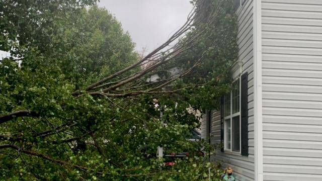 Home in Browns Summit, in Guilford County, nearly hit by a fallen tree. 