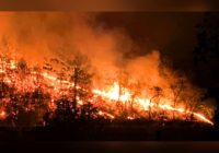 Record-breaking California wildfires surpass 4 million acres