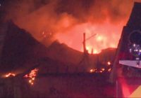 Multiple homes damaged in massive Steele Creek fire