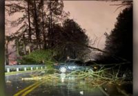 Tornado leaves several injured, homes damaged in Alabama