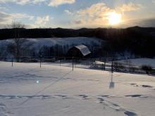 Snow picture
