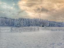 1/28/21 Snow at Blessed "S" Farm in Henderson, NC