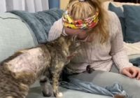 20-year-old cat that went missing just before Hurricane Matthew in 2016 reunited with Fuquay-Varina family