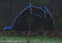 Severe weather leaves central North Carolina mostly unharmed