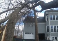 ‘We don’t want to go through that again’ | South Charlotte neighbors recall last year’s devastating tornado