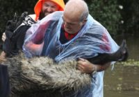 Australian east coast rain to ease but flooding continues