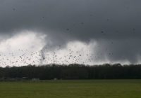 Severe storms, tornadoes possible across the Deep South
