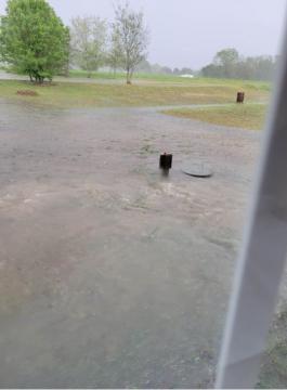 Residential yard just off Chisenhall Road in Johnston County