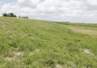 Border Wall Construction Left These South Texas Levees Damaged Ahead Of Hurricane Season