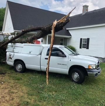 Tree falls on truck