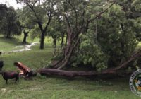 NWS: Confirmed tornado touched down in Lavaca County