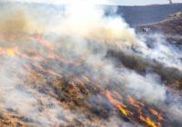 Western wildfires: Crews make progress on huge Oregon blaze