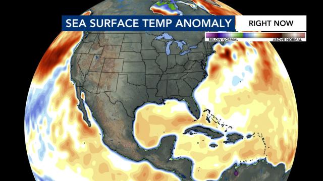 Sea surface temperature anomaly 