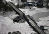 Man attacked by alligator in Hurricane Ida's floodwaters