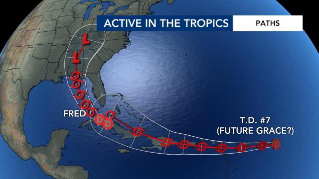 Forecast tracks for Fred and tropical depression 7