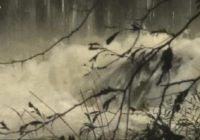 'It could've been much worse' | Avery County campground escapes major damage after flooding evacuation 'It could've been much worse' | Avery County campground escapes major damage after flooding evacuation