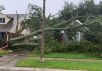 How to help those impacted by Hurricane Ida, how Houston will play a role in relief efforts