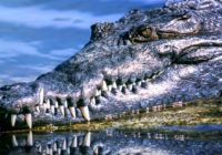 Man attacked by alligator in Hurricane Ida’s floodwaters