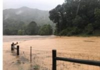 'It's tragic.' Canton mayor pleads for federal disaster declaration after flooding devastates western NC