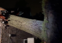 Tree crushes roof of Baytown woman's home during Hurricane Nicholas