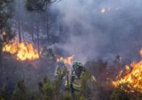 Crews in southern Spain face 'complex' wildfire for 5th day