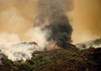 California wildfires threaten famous giant sequoia trees