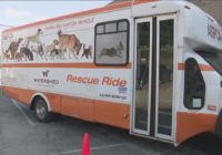 Austin Humane Society welcomes dozens of pets after Hurricane Ida