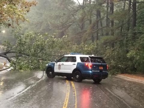 Raleigh police tweeted this image of a drowned tree on Dixon Drive. Image courtesy of Raleigh Police.