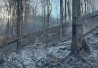 Pilot Mountain wildfire caused by campfire, 50% contained at this time