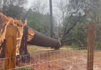Tornado hit northeast Montgomery County this morning, National Weather Service confirms