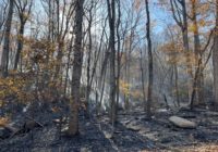 Wildfire continues to burn at a North Carolina state park
