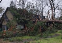 Viewers share storm damage photos after severe weather rolls through Houston area