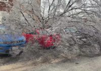 Cars and homes damaged by fallen trees in San Antonio due to icy conditions