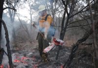 Why Have There Been So Many Wildfires in Texas This Year?