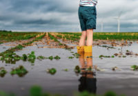 New study forecasts increased flooding in Texas due to climate change, population growth