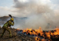 Texas Farm Bureau creates wildfire relief fund