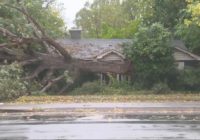 Wind damage and microbursts: Weather IQ