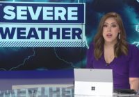 Severe weather leaves behind damage in Guadalupe County