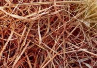 Increasing wildfire danger in SC leads to Red Flag alert