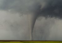 Tornado safety: What you should do during a tornado warning