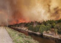 Wildfire covers 1,000 acres on North Carolina's Outer Banks