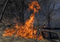 Firefighters hope to gain ground on Texas wildfires Saturday