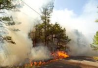 Wildfire risks increase across Texas due to high winds, dry vegetation