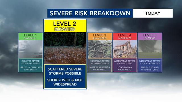 Severe Risk Breakdown