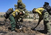 "A very chaotic situation': Crews tackle growing wildfires