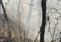 Blue Ridge Parkway wildfire now estimated at 370 acres, 50% contained